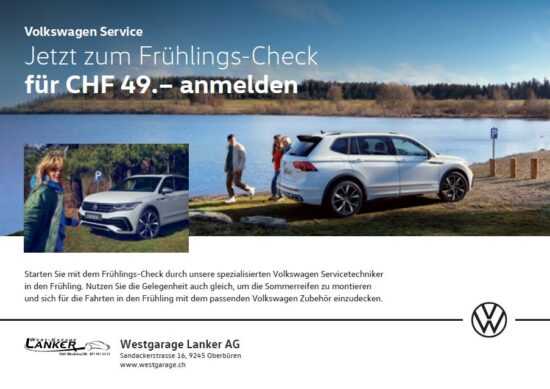 Frühlings - CHECK für nur CHF 49.-- - Westgarage Lanker AG