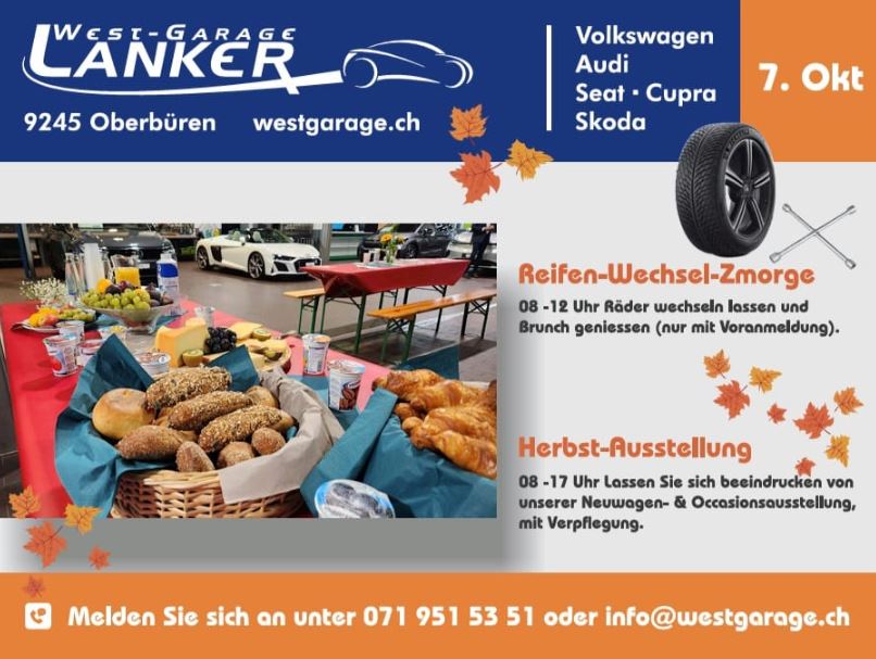 Frühlings-Check - Westgarage Lanker AG 3